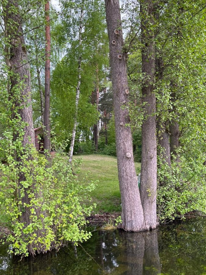 Apartament Comfort W Kujankach Nad Jeziorem Kujanki  Zewnętrze zdjęcie